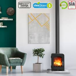 Saltfire ST2 Multifuel Stove